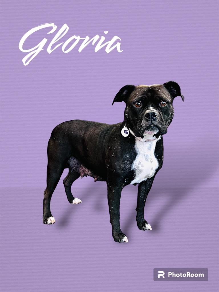 Gloria