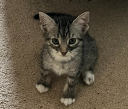 Lucy