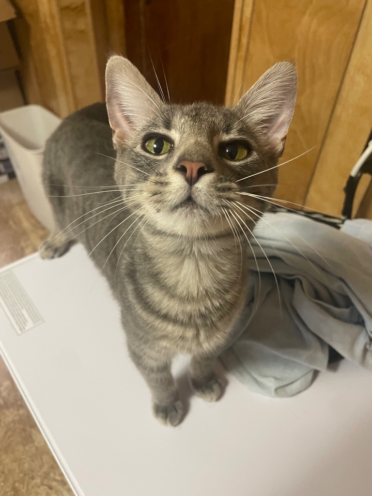 Theodore