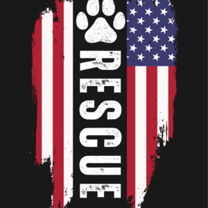 Color Patriotic T-Shirts