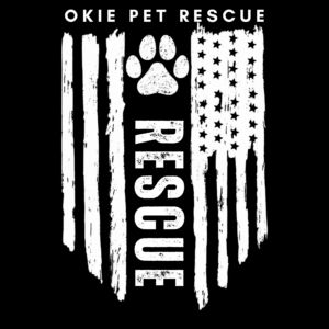 Patriotic T-Shirts
