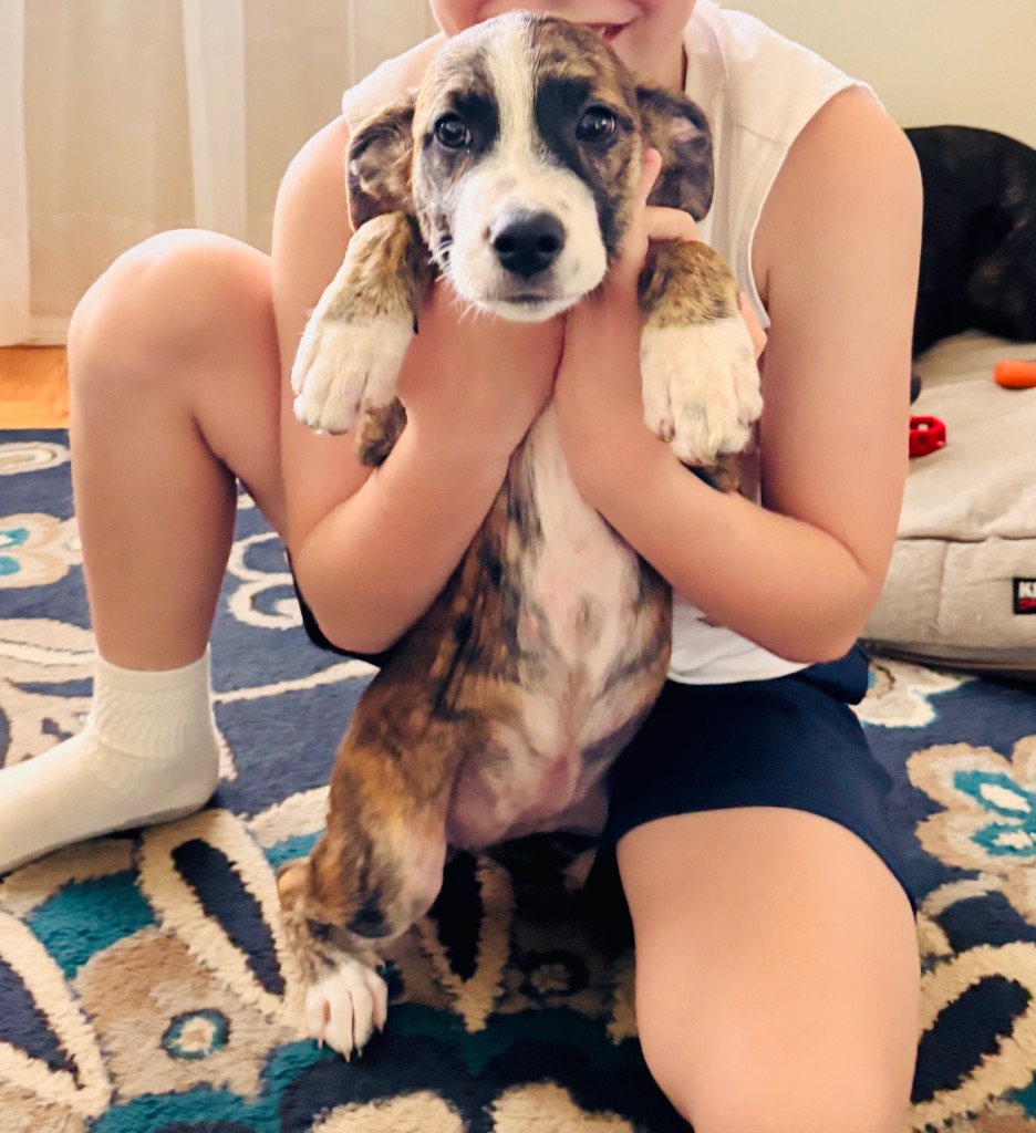 Georgia