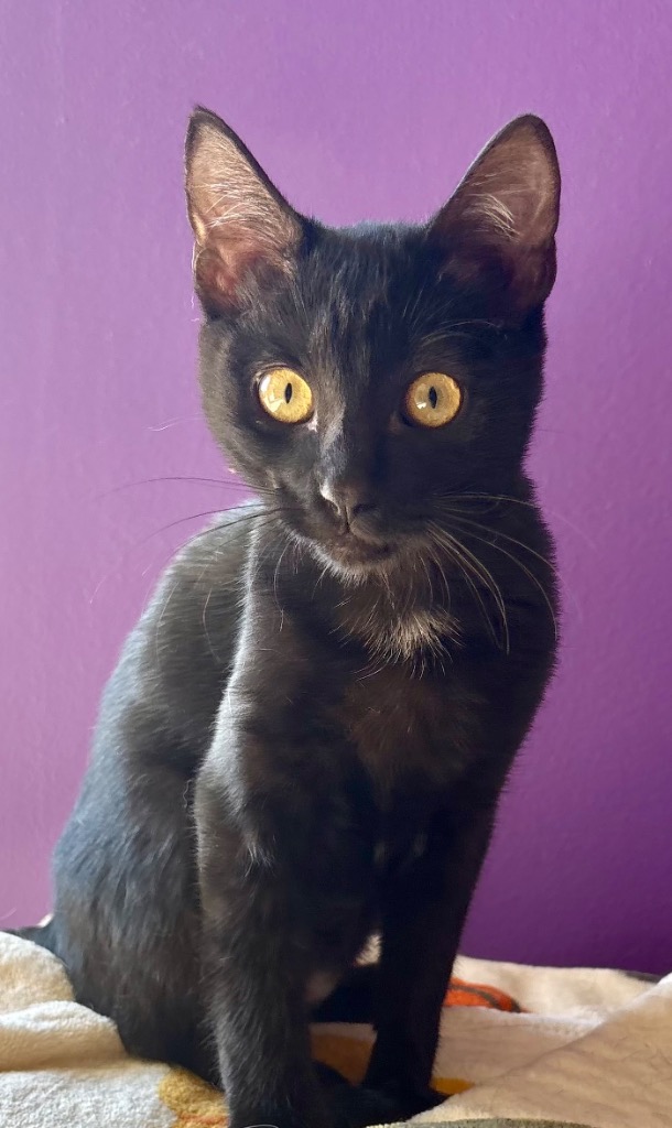 Tobie