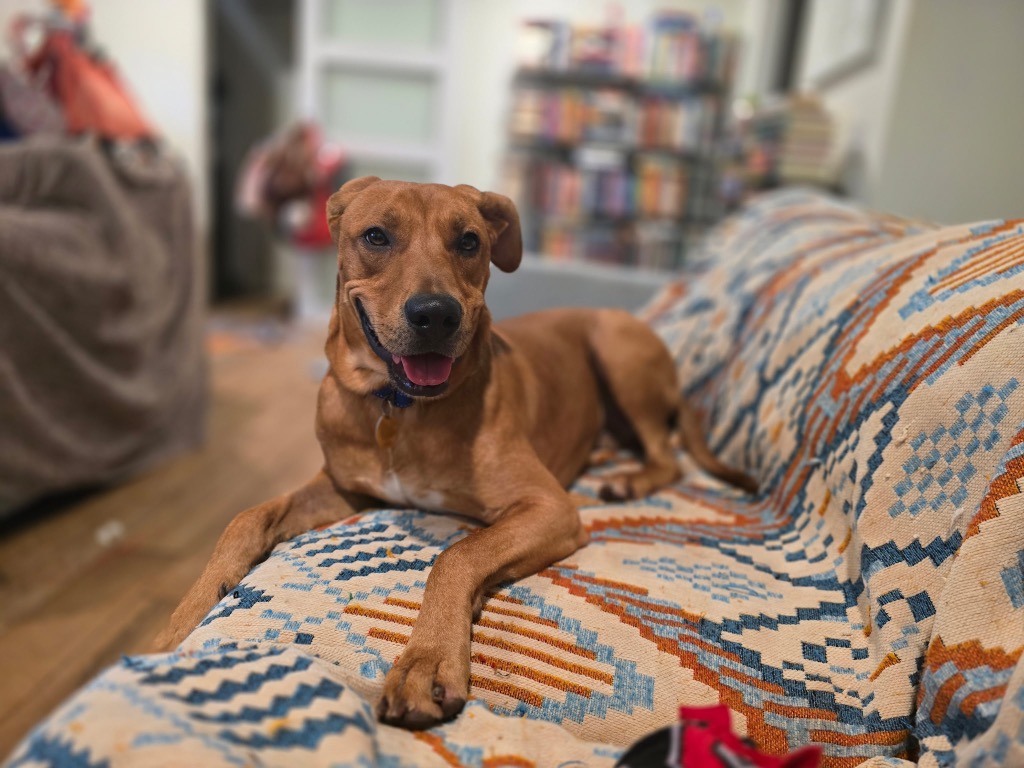 Diego