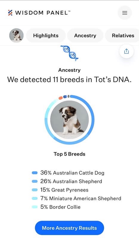 Tator
