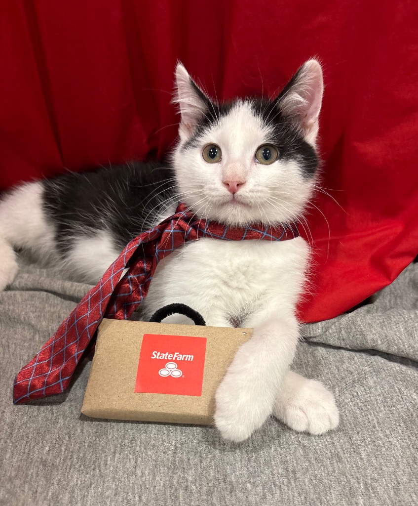 Jake (from State Farm)