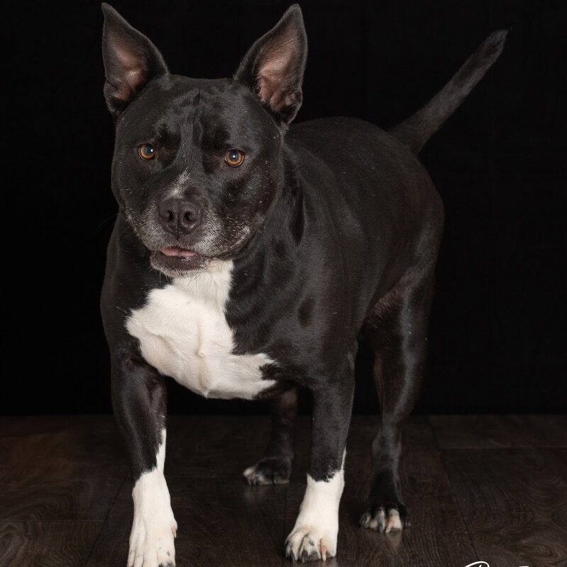 Marcy (D24-4567)
