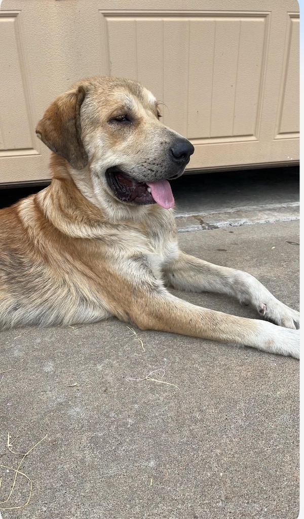Duke