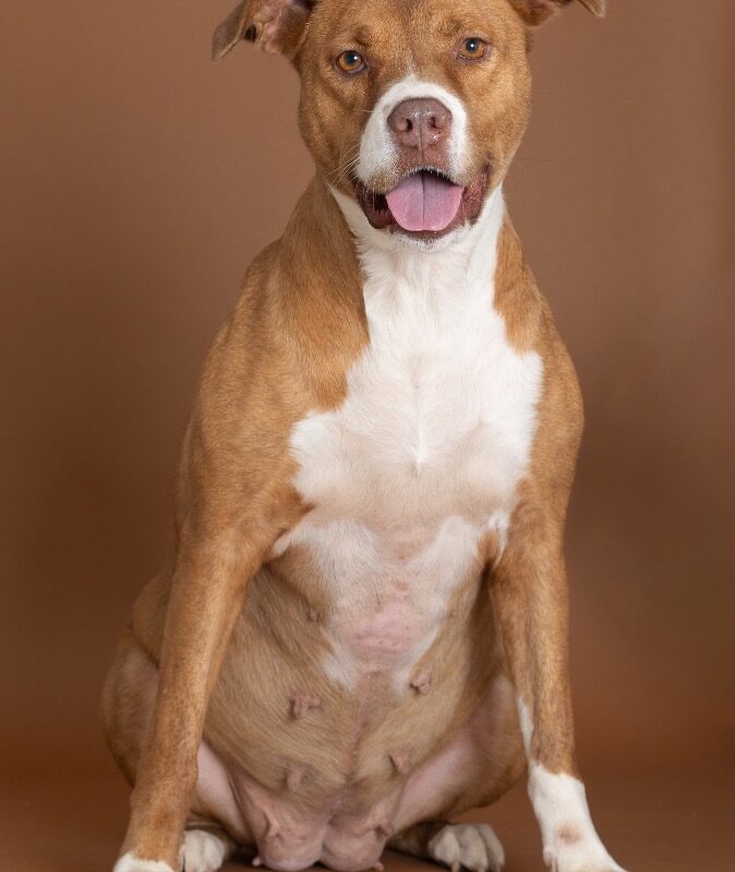 Charley (D26-5670)