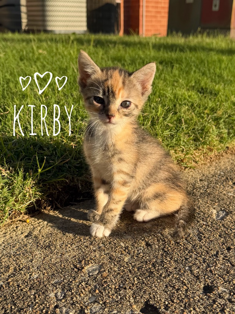 Kirby