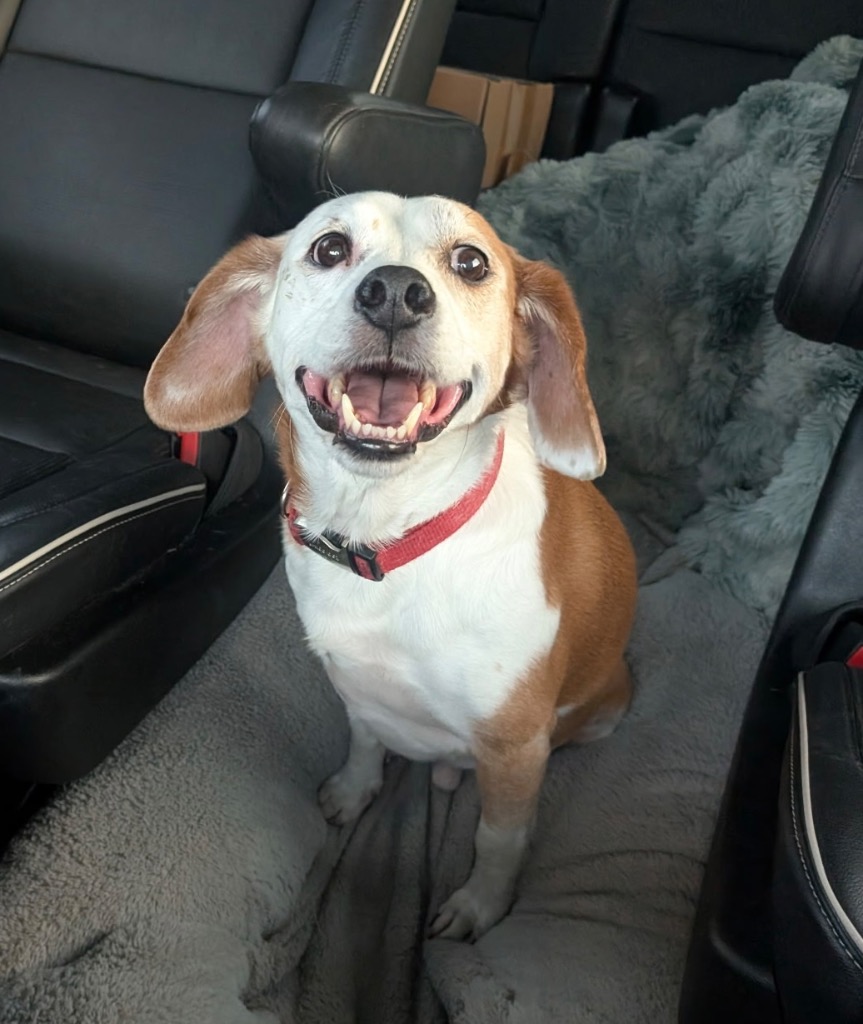 Benny