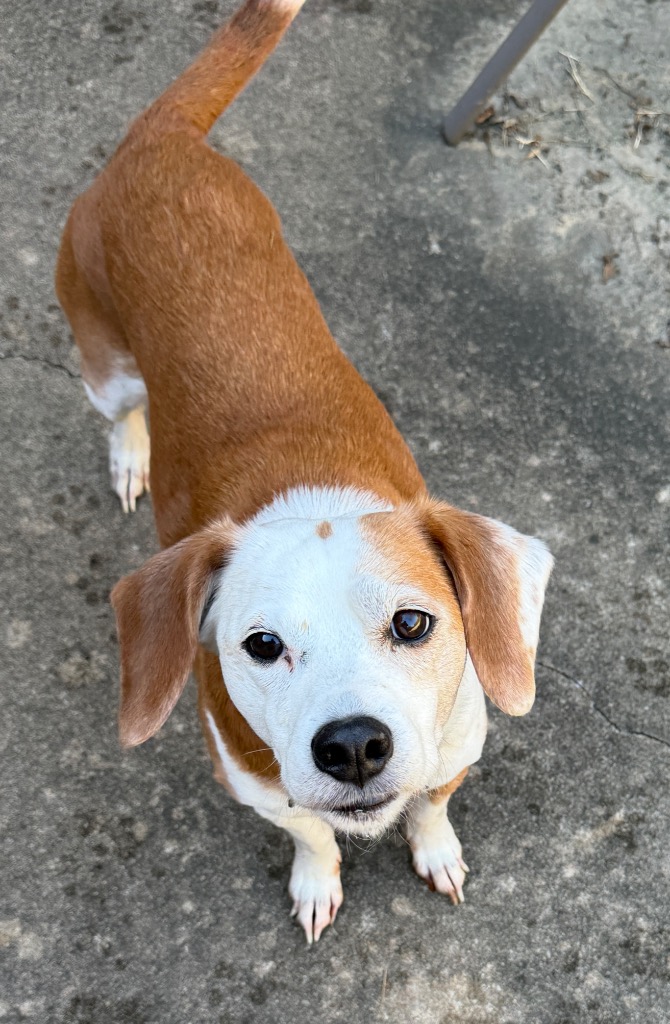 Benny