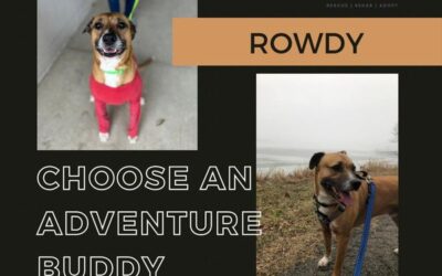 Rowdy – A True Adventure Partner