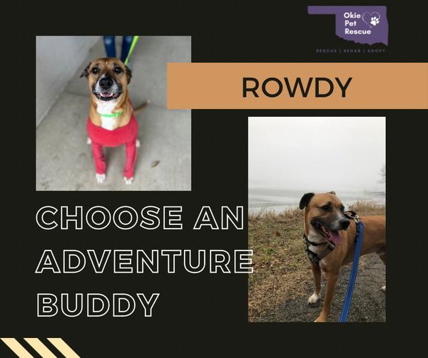 Rowdy – A True Adventure Partner